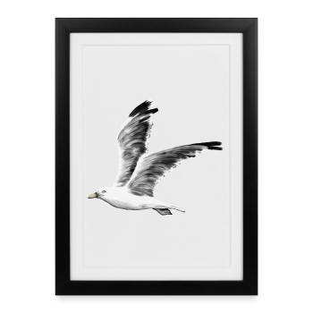 Mouette - Affiche encadrée (27 × 37 cm) - noir - Devant