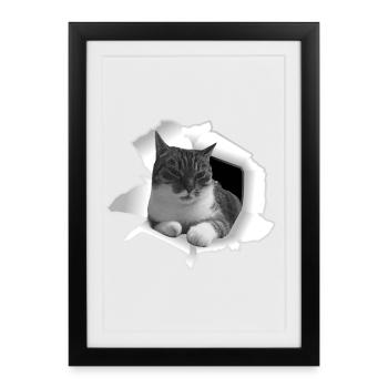 Cute cat from Loch Cat Friend - Framed poster (27 × 37 cm) - black - Front