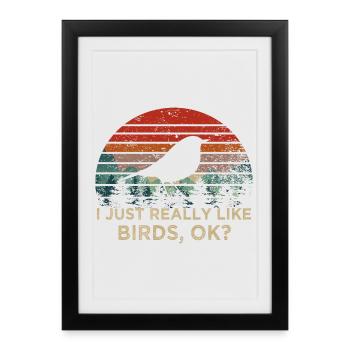 I Just Like Birds – Vintage Silhouette Bird - Framed poster (27 × 37 cm) - black - Front