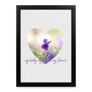 Cœur violet fleur violette mon jardin mon hobby - Affiche encadrée (27 × 37 cm) - noir - Devant