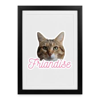 Missty Treat - Framed poster (27 × 37 cm) - black - Front