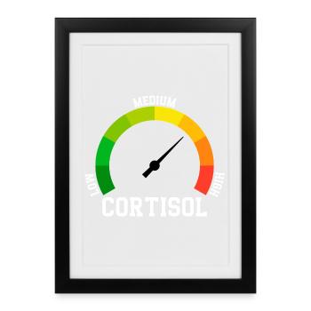 Low Cortisol Low Level Even - Framed poster (27 × 37 cm) - black - Front