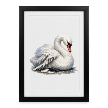 Cygne à l’aile cassée - Affiche encadrée (27 × 37 cm) - noir - Devant