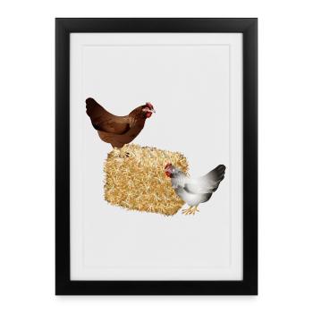 two chickens on a bale of straw - Framed poster (27 × 37 cm) - black - Front