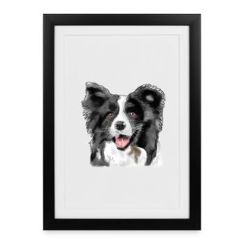 Border Collie - Affiche encadrée (27 × 37 cm) - noir - Devant
