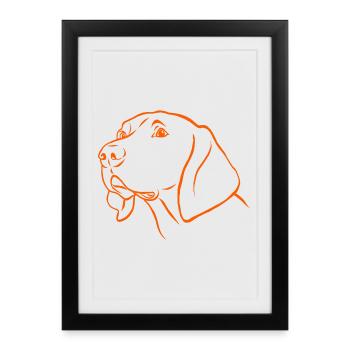 Weimaraner Portrait en orange - Affiche encadrée (27 × 37 cm) - noir - Devant