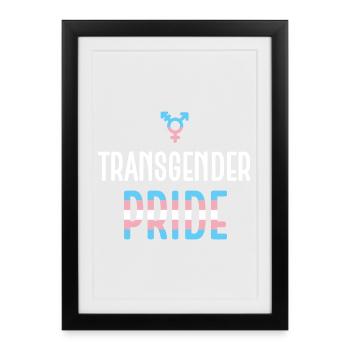 Mois de la fierté LGBTQ - Fierté transgenre - Affiche encadrée (27 × 37 cm) - noir - Devant