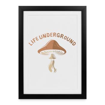 la vie souterraine Pilz - Amis de la nature et de la forêt - Affiche encadrée (27 × 37 cm) - noir - Devant
