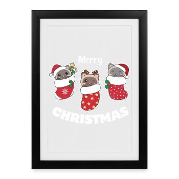  Süße Siamkatzen in Weihnachtssocke zu Weihnachten - Gerahmtes Poster (27 × 37 cm) - Schwarz - Vorne