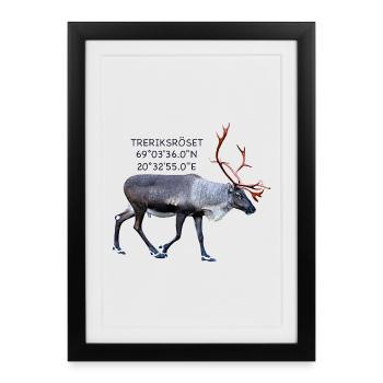 THREE-COUNTRY ROSETTE - Framed poster (27 × 37 cm) - black - Front
