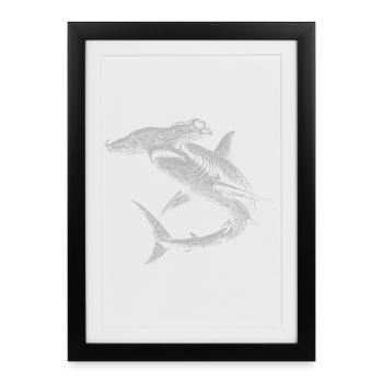 Duo Silhouette Tourbillon Requin-Marteau - Affiche encadrée (27 × 37 cm) - noir - Devant