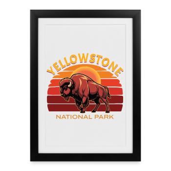 Bisons de buffle du parc national de Yellowstone - Affiche encadrée (27 × 37 cm) - noir - Devant