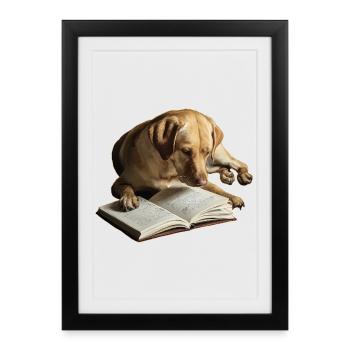 Livre de lecture de chien Labrador Retriever - Affiche encadrée (27 × 37 cm) - noir - Devant
