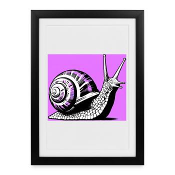 Escargot - Affiche encadrée (27 × 37 cm) - noir - Devant