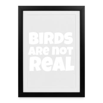 Birds Not Real Meme - Framed poster (27 × 37 cm) - black - Front
