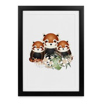 Famille magique de petits pandas roux - Affiche encadrée (27 × 37 cm) - noir - Devant