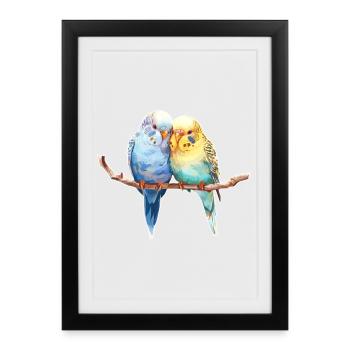 Budgie pair - Framed poster (27 × 37 cm) - black - Front