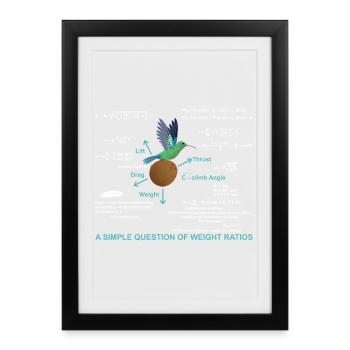 Math Simple question of weight ratios - Framed poster (27 × 37 cm) - black - Front