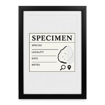 Geological Sample Fossils Collector Label - Framed poster (27 × 37 cm) - black - Front