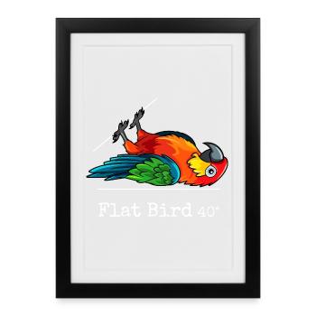 Flat Bird at 40 degrees - Framed poster (27 × 37 cm) - black - Front