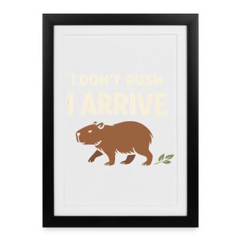 Un joli capybara anti-stress, sans stress, - Affiche encadrée (27 × 37 cm) - noir - Devant