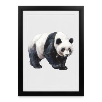 Panda - Framed poster (27 × 37 cm) - black - Front