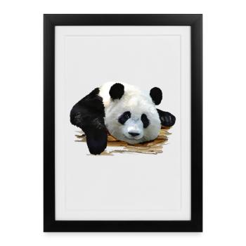 panda - Affiche encadrée (27 × 37 cm) - noir - Devant