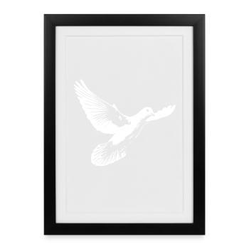 Wunderschöne weisse Taube - Gerahmtes Poster (27 × 37 cm) - Schwarz - Vorne