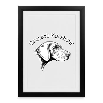 Dt. Kurzhaar - Gerahmtes Poster (27 × 37 cm) - Schwarz - Vorne