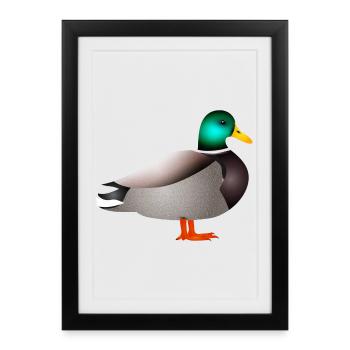 hand-drawn male duck or duck - Framed poster (27 × 37 cm) - black - Front