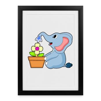 Elephant Flower - Framed poster (27 × 37 cm) - black - Front