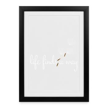 Life finds a way - Dandelion - Framed poster (27 × 37 cm) - black - Front
