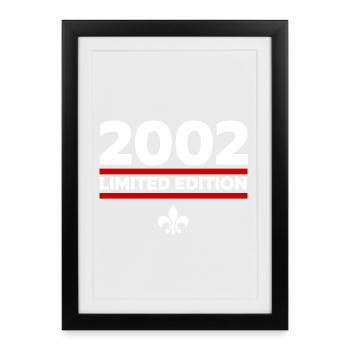 Édition limitée 2002 - Affiche encadrée (27 × 37 cm) - noir - Devant