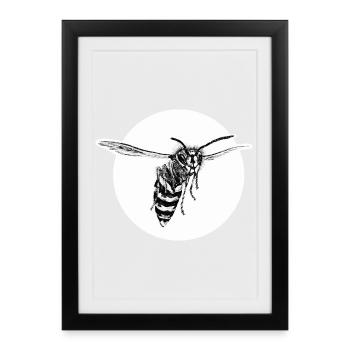 Wasp - Bee - Insect - Framed poster (27 × 37 cm) - black - Front