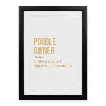 Caniche Caniche Caniche - Affiche encadrée (27 × 37 cm) - noir - Devant