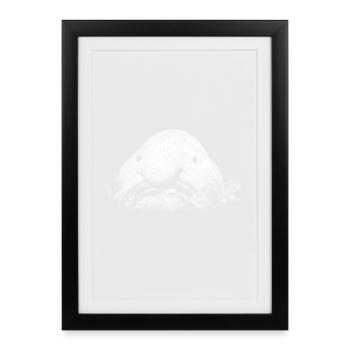 Un poisson blob - Affiche encadrée (27 × 37 cm) - noir - Devant