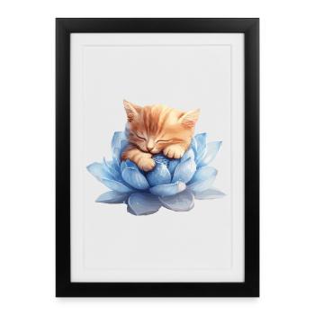 Chaton se reposant sur des succulentes bleues - Affiche encadrée (27 × 37 cm) - noir - Devant