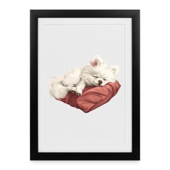 Chiot Spitz endormi - Affiche encadrée (27 × 37 cm) - noir - Devant