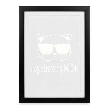 Arrêtez de vous stresser, amateurs de chats de Miaouss - Affiche encadrée (27 × 37 cm) - noir - Devant