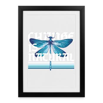 Dragonfly Dragonflies Change Is Natural - Framed poster (27 × 37 cm) - black - Front
