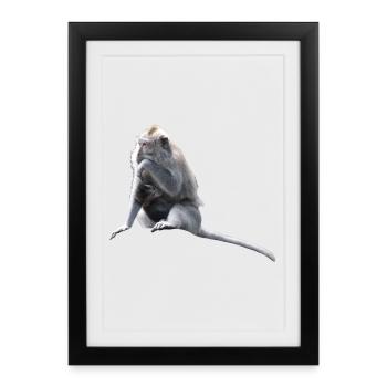 Singe - Affiche encadrée (27 × 37 cm) - noir - Devant