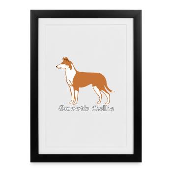 Colley sable à poil court - Affiche encadrée (27 × 37 cm) - noir - Devant
