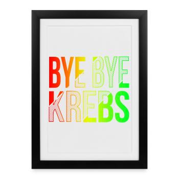 Bye Bye Kreps Rainbow Design - Affiche encadrée (27 × 37 cm) - noir - Devant