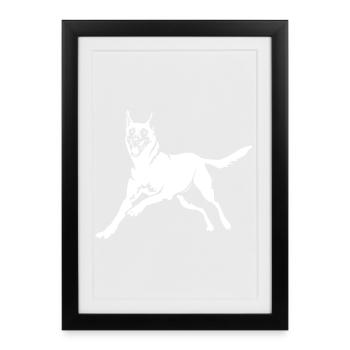 Malinois "Black Edition" - Framed poster (27 × 37 cm) - black - Front