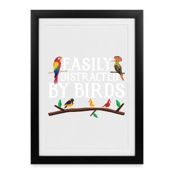 Leicht von Vögeln abgelenkt - Gerahmtes Poster (27 × 37 cm) - Schwarz - Vorne