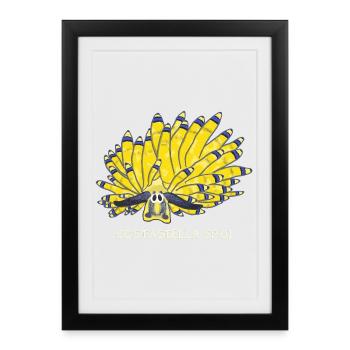 Sea snail, sapsucker, Costasiella sp.01 - Framed poster (27 × 37 cm) - black - Front