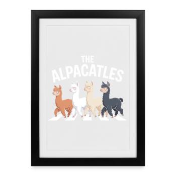 Alpacatles Llama Alpaca - Framed poster (27 × 37 cm) - black - Front