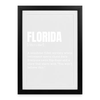 T-shirt mystère Florida Sunshine - Affiche encadrée (27 × 37 cm) - noir - Devant