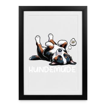 Hundemüde Appenzeller Sennenhund Sennenhunde  - Gerahmtes Poster (27 × 37 cm) - Schwarz - Vorne