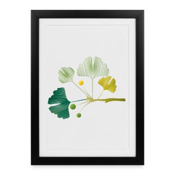 Ginkgo branch made of leaf lines in soft green tones - Framed poster (27 × 37 cm) - black - Front